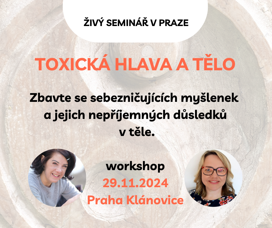 Seminář Toxická hlava a tělo